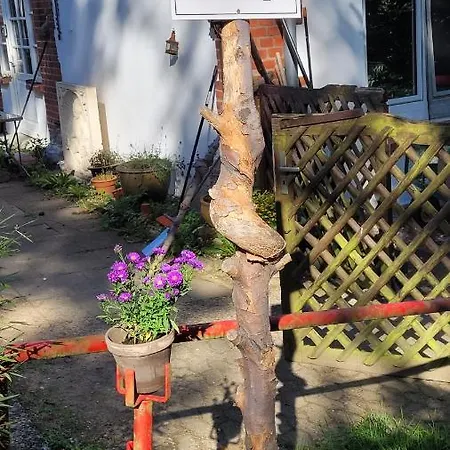 Im Waldhaus Goehrde Nahrendorf
