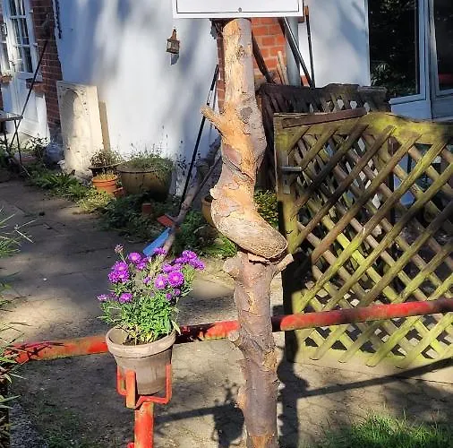 Im Waldhaus Goehrde Nahrendorf